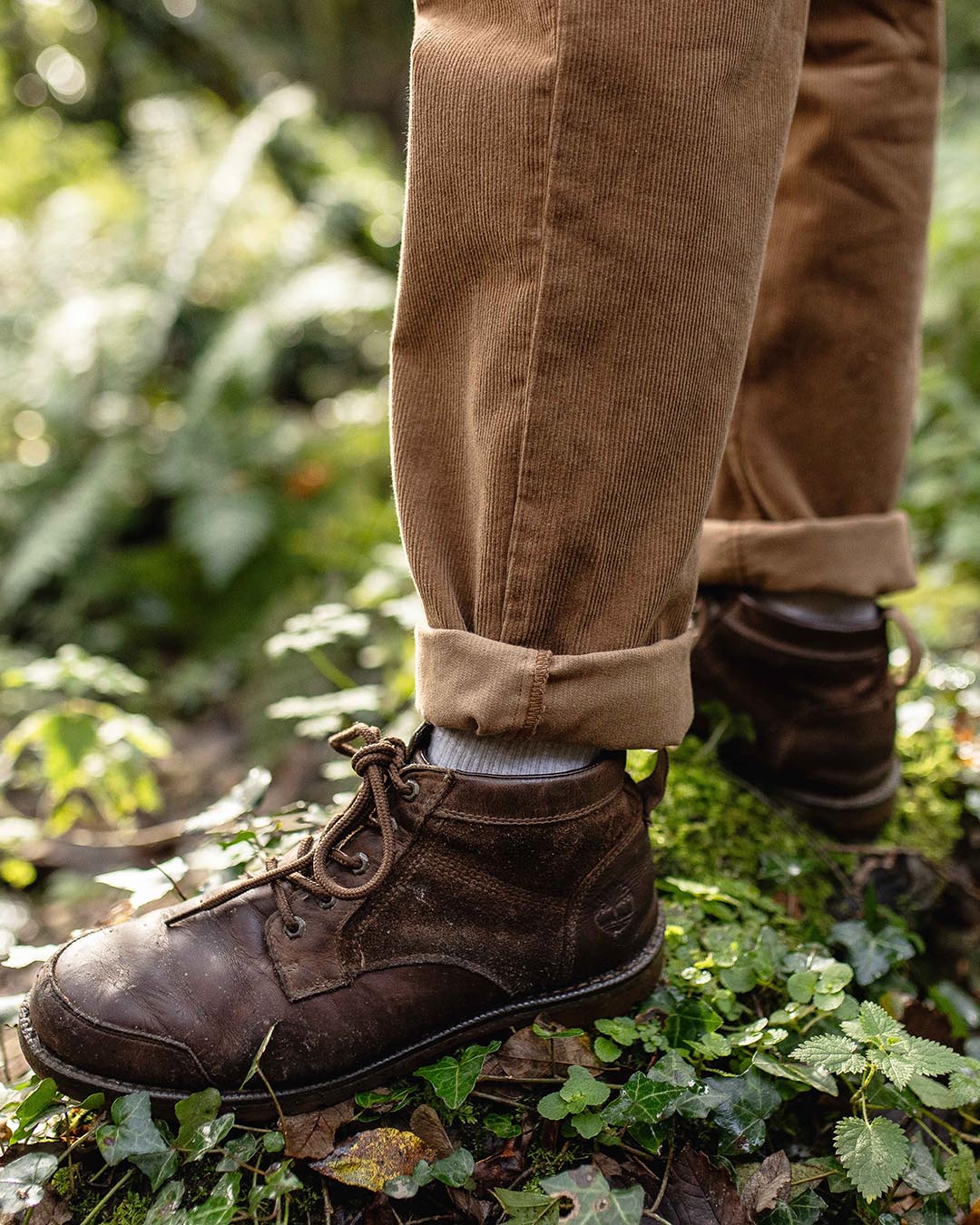 Adventurer Cord Trouser - Coconut - Image 7