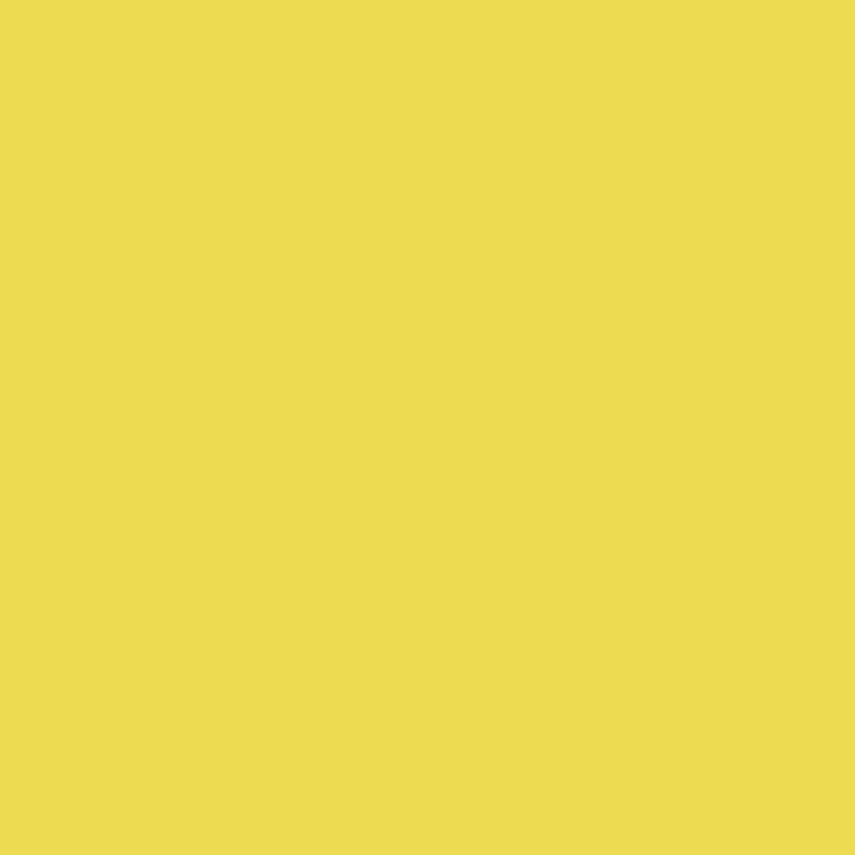 Boondocker 26L Backpack - Sheen Yellow - Image 17