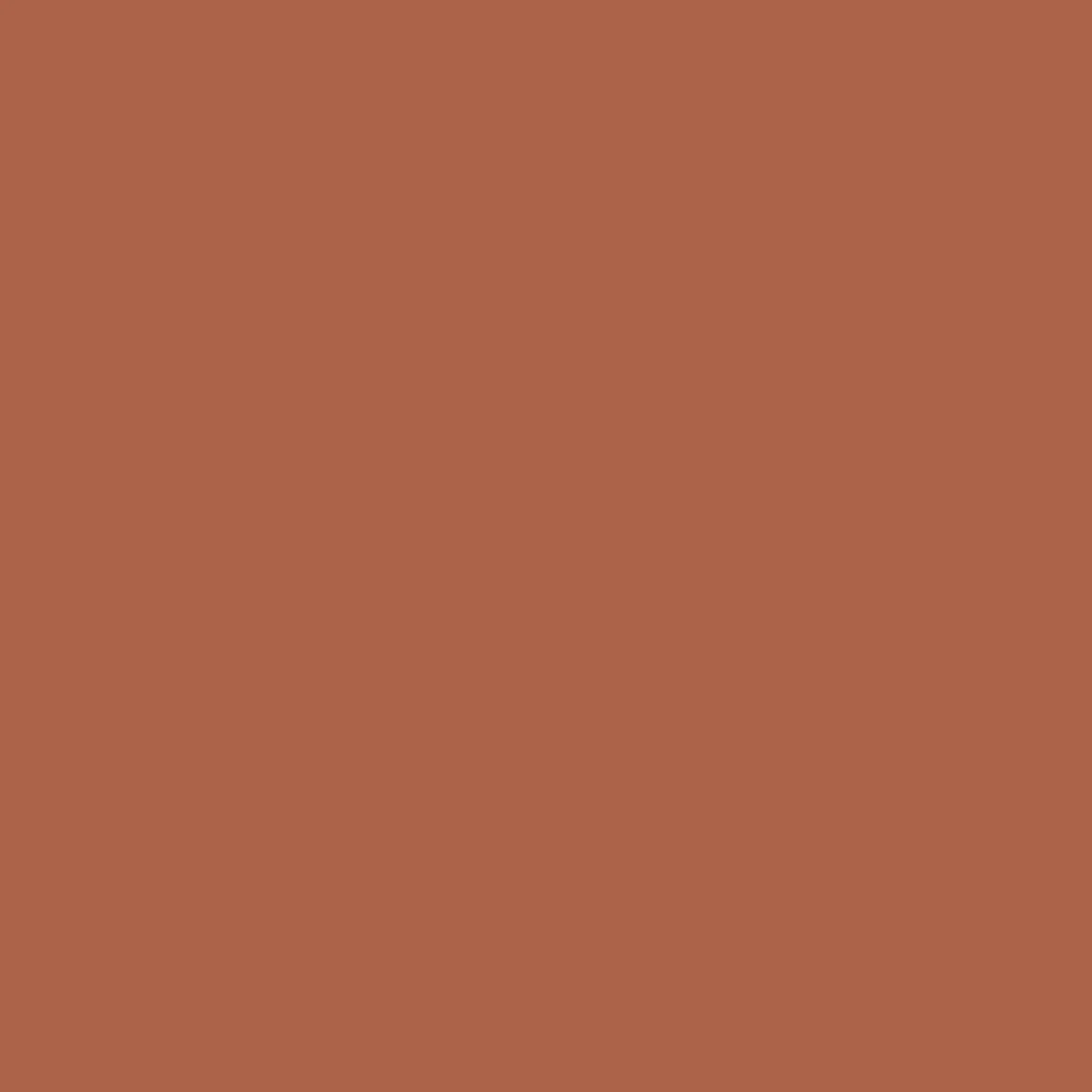 Breaks Boardshort - Burnt Orange - Image 13