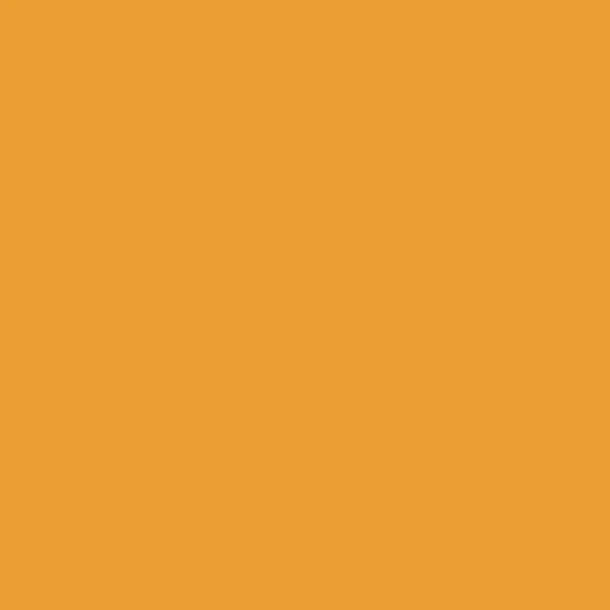Compass Acrylic Beanie - Mustard Yellow - Image 7