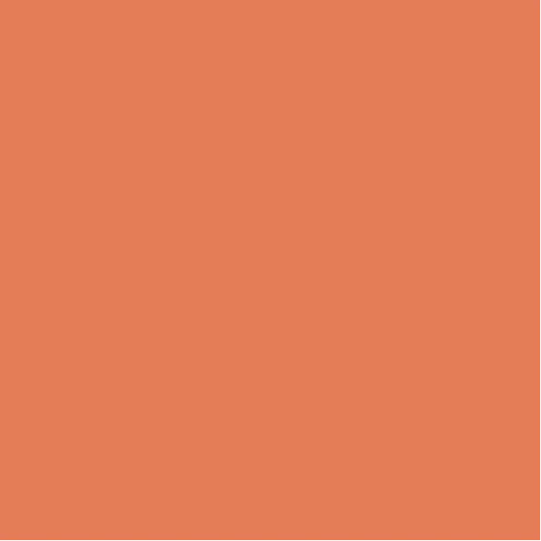 Fauna Organic Cotton Textured Sweatshirt - Apricot - Image 6