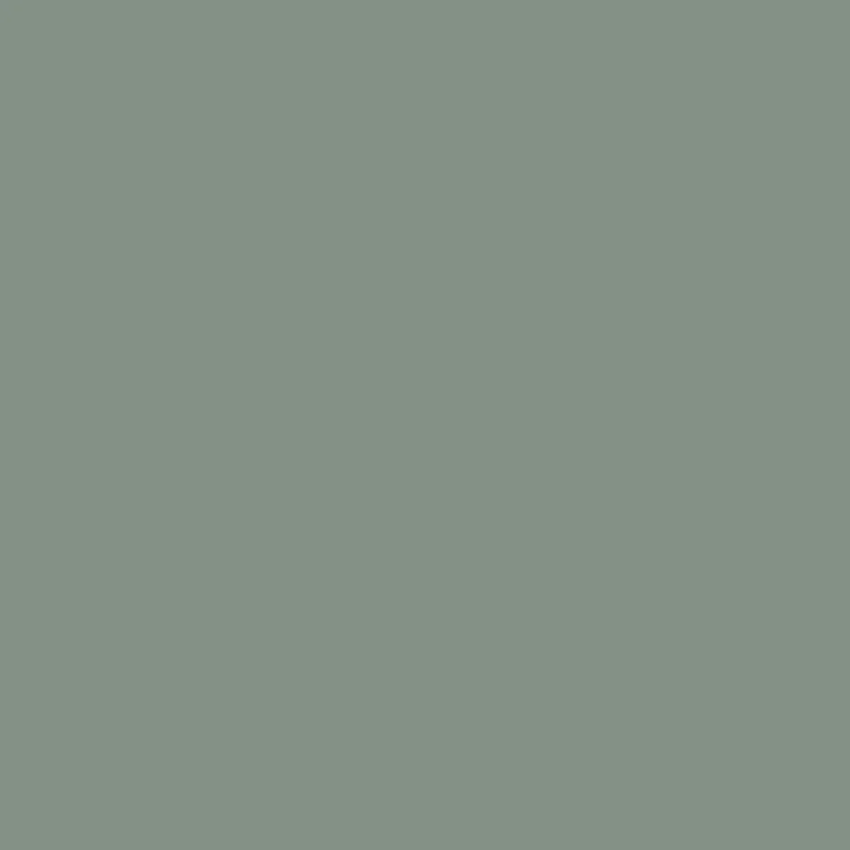 Petal Top - Pistachio - Image 6