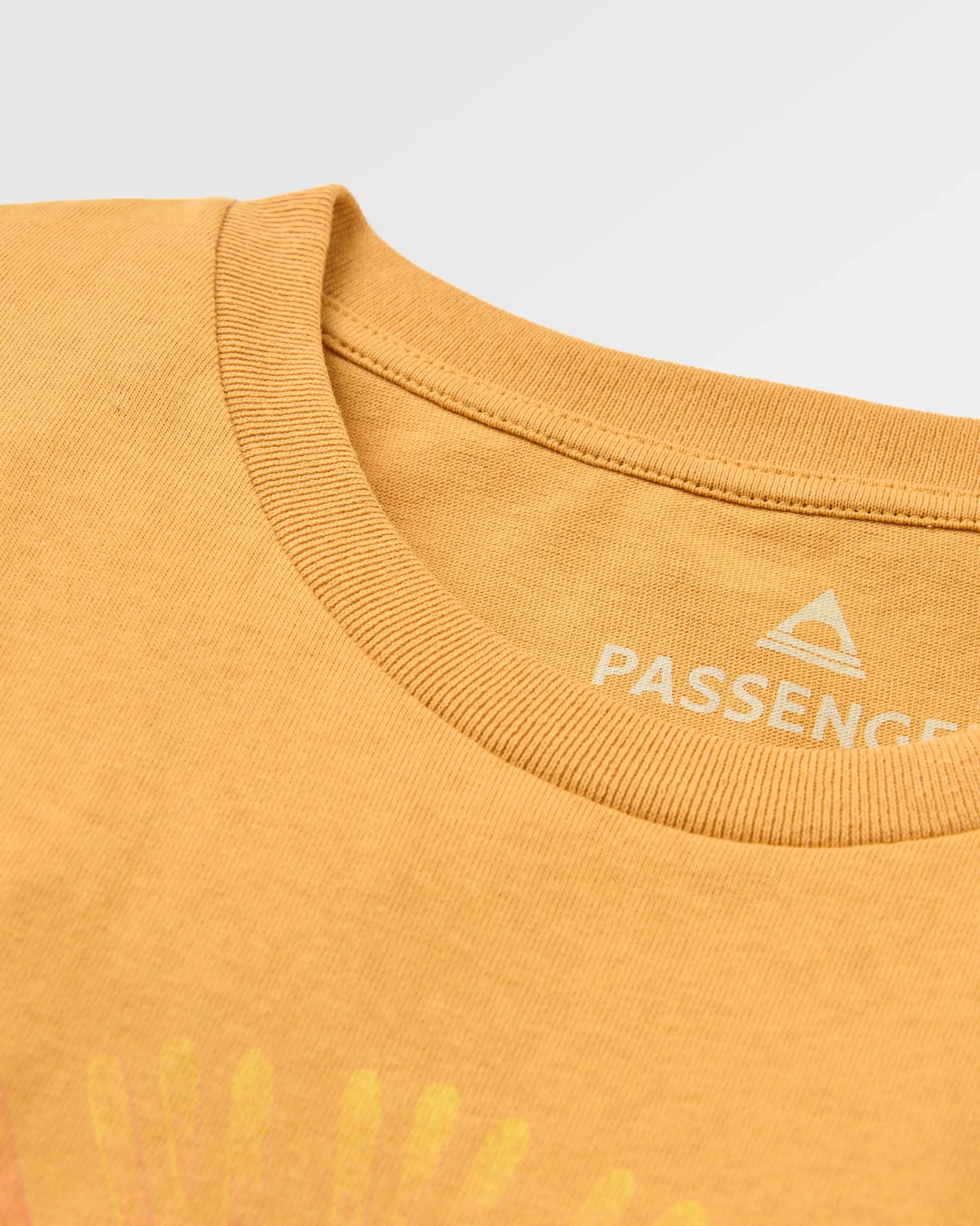 Shutter T-Shirt - Spruce Yellow - Image 3