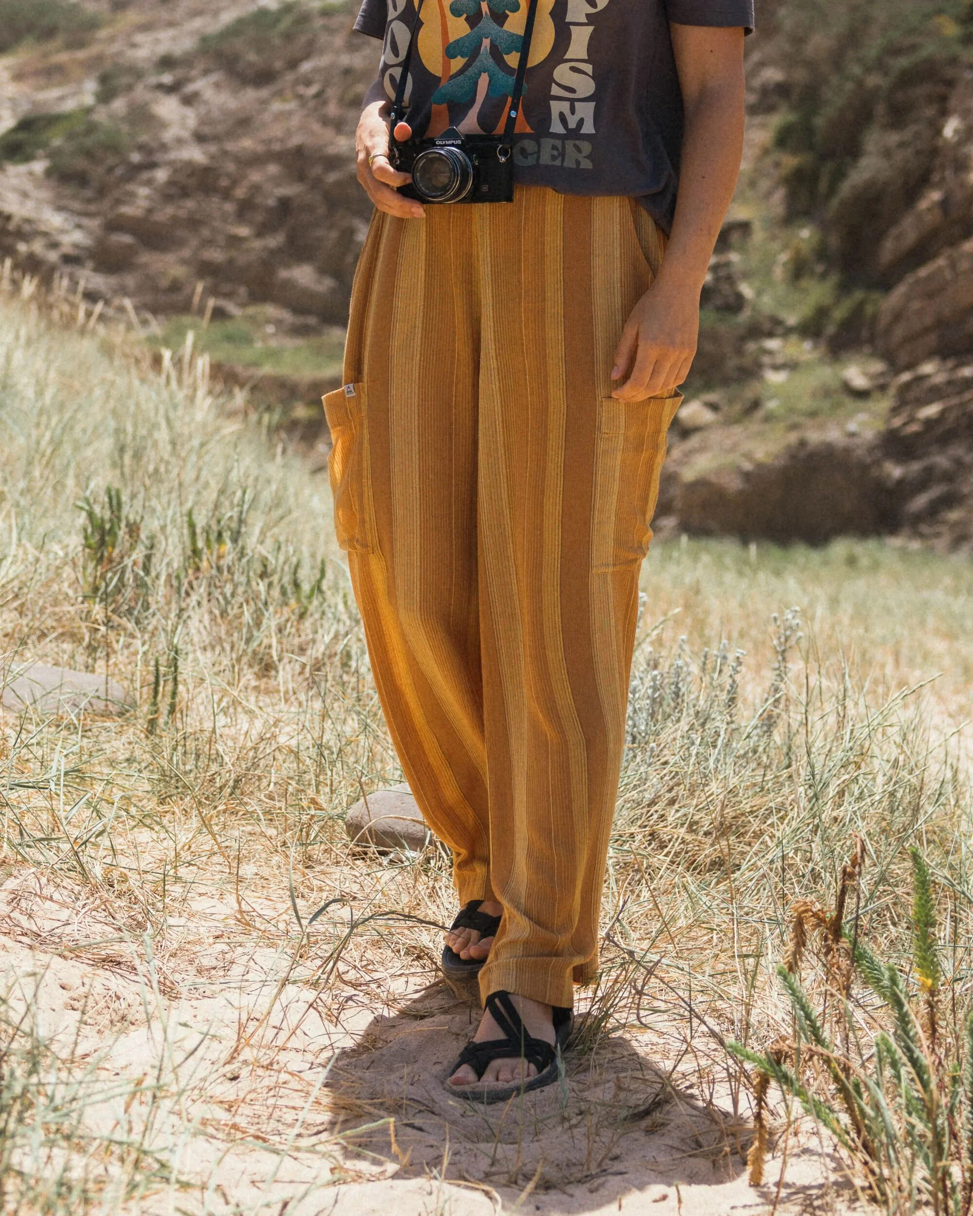 Someday Woven Trouser - Spruce Yellow Stripe